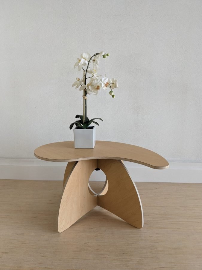 The Japandi Coffee Table