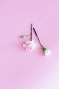 flowers with pink background