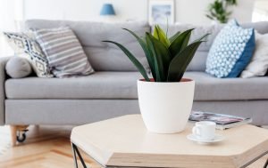 simple decor upgrades