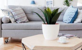 simple decor upgrades