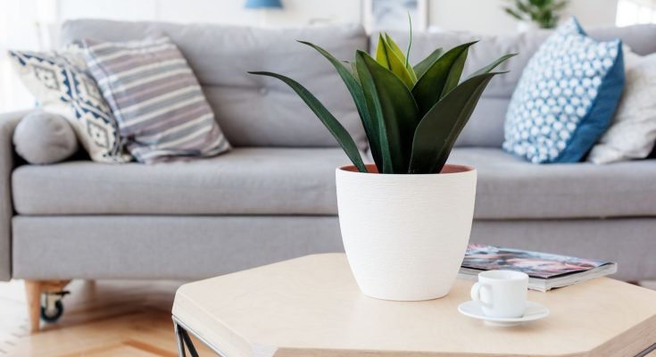 simple decor upgrades